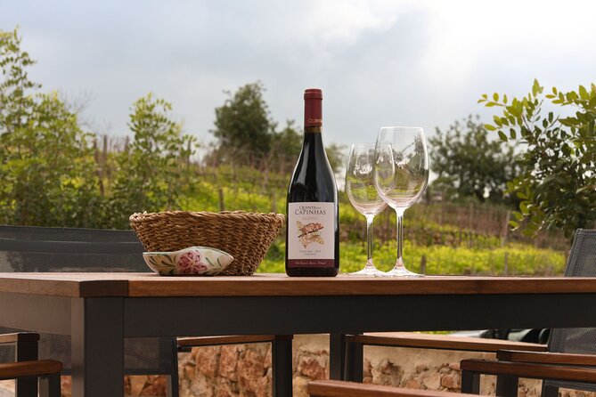 Porches Algarve Vineyard Tour and Wine Tasting Experience - Additional Information and Resources
