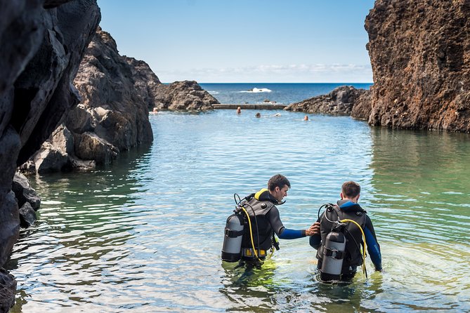 Porto Moniz Small-Group Madeira Aquarium Scuba Dive  - Funchal - Inclusions and Meeting Details
