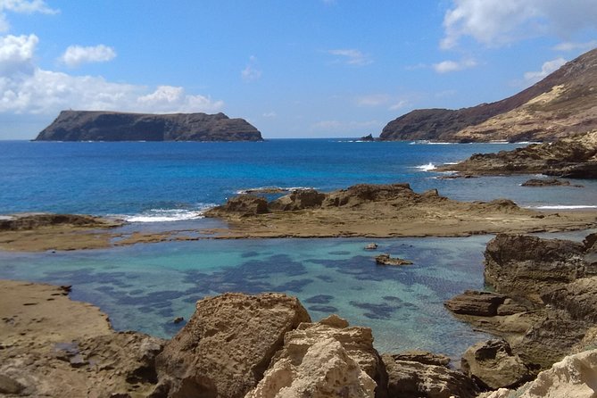 Porto Santo Snorkeling Tour - Snorkeling Experience Highlights
