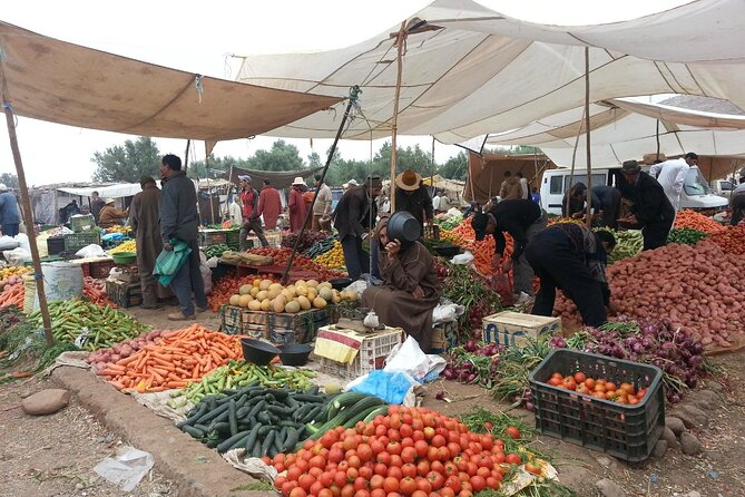 Premium Atlas Mountains Day Trip With Camel Ride Experience - Testimonials