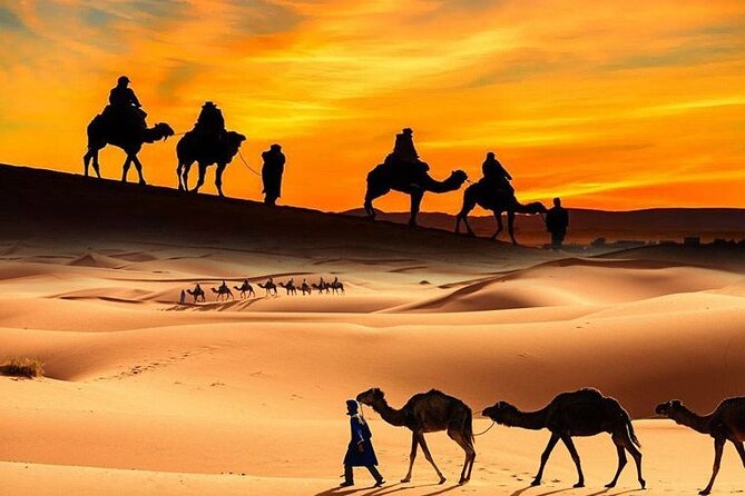 Premium Red Dunes Desert Safari Dubai - Affordable Pricing and Value