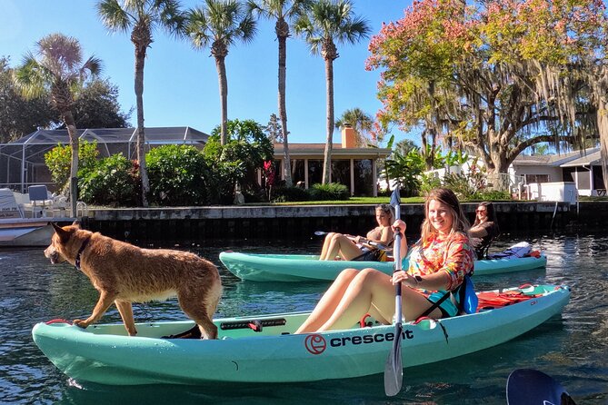 Premium Single Kayak Rental In Crystal River, Florida - Overview and Inclusions