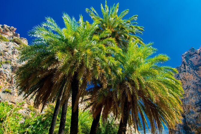 Preveli Palm Beach Boat Cruise & Rethymnon Town From Heraklion - Pricing and Booking