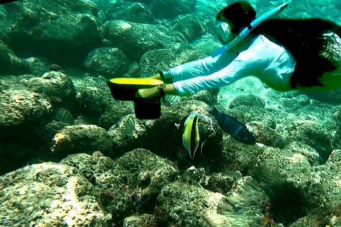 Princeville - Snorkeling Shore Excursion - Overview and Details