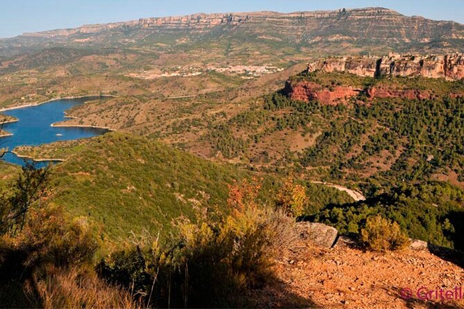 Priorat Wine Tasting Tour From Salou - Additional Information and Policies