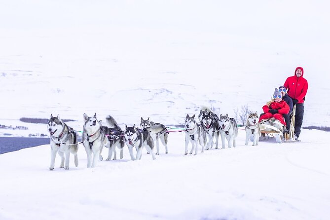 Private 2-Hour Dog Sledding Tour, Akureyri - Tour Overview and Experience