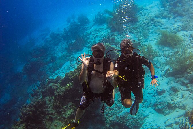 Private 2 Tank Guided Experience in Curaçao for Certified Divers - Certified Diver Requirements