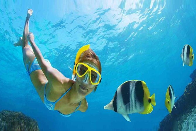 Private 3-Hour Snorkeling Tour on Glass Bottom Boat - Tour Overview