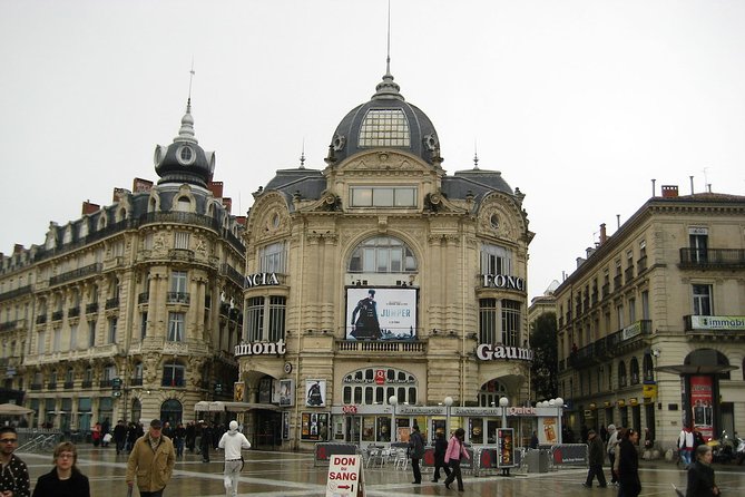 Private 4-Hour City Tour of Montpellier With Hotel Pick-Up and Drop off - Pricing and Guarantee