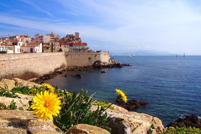 Private 4-Hour Tour of Cannes and Antibes From Cannes With Private Driver - Inclusions and Exclusions