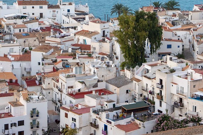 Private 4-Hour Walking Tour of Ibiza With Official Tour Guide - Pricing and Reservation