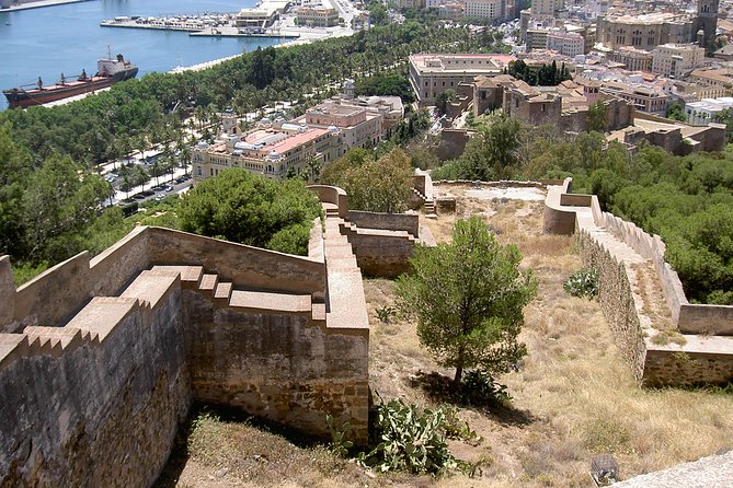 Private 9-Hour Shore Excursion From Motril Cruise Port to Malaga - Pricing and Reservation
