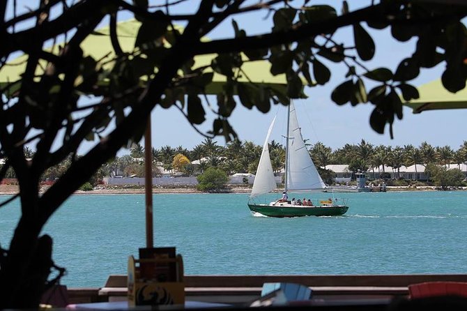 Private 90-Minute Harbor Sailing Charter in Key West - Pricing and Booking Details
