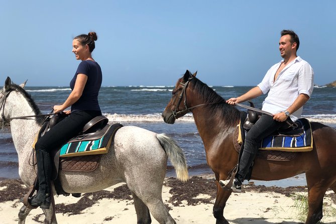 Private Advanced Horseback Beach Ride With Sandy Hoofs St. Lucia - Additional Information