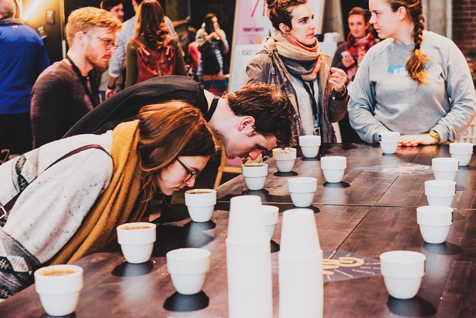 Private Amsterdam Red Light District and Coffee Shop Tour With Expert Guide - Private Amsterdam Red Light District Tour
