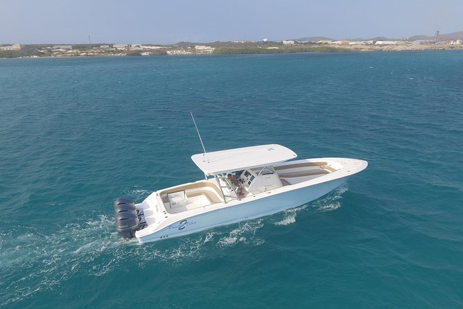 Private and Customizable Boat Charter With Captain, Aruba  - Palm - Eagle Beach - Tour Overview