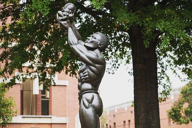 Private Atlanta History Tour From Civil War to Civil Rights - Tour Overview and Details