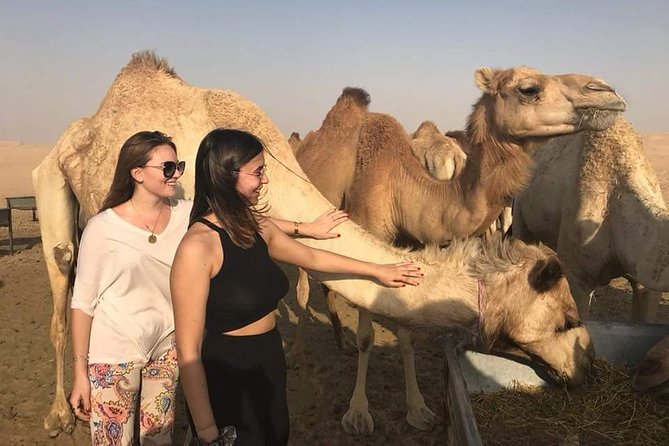 Private ATV / Quad Biking Tours in Abu Dhabi - Tour Pricing and Availability