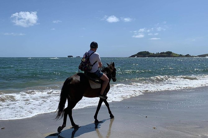 Private Beach Horseback Ride With Sandy Hoofs St. Lucia - Incident and Assistance
