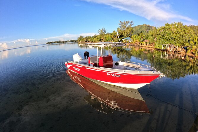 Private Big Game Fishing Day - Planning Your Private Fishing Trip