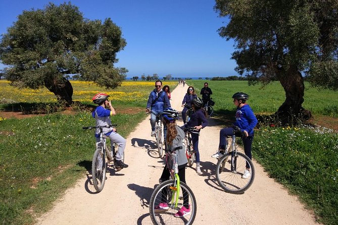 Private Bike Tour With Olive Oil Tasting - Tour Reviews and Ratings