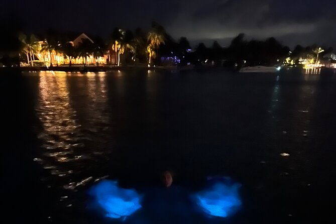 Private: Bioluminescence Tour - 6 Guests - Inclusions and Meeting Details