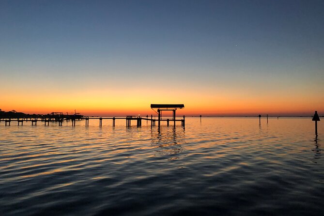 Private Boat and Dolphin Watching in Florida - Reviews