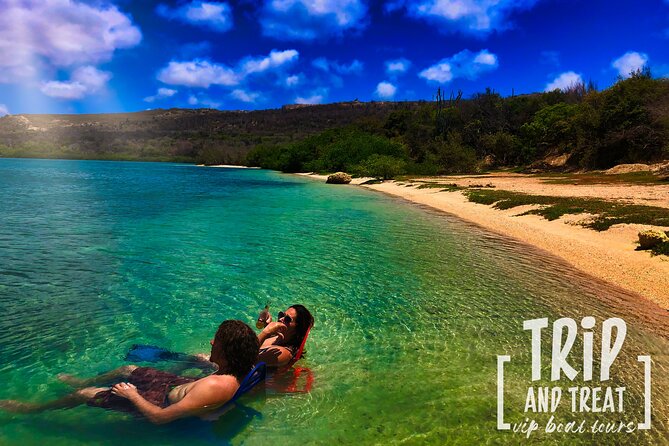 Private Boat Trip Swim, Board or Snorkel - Overview and Location