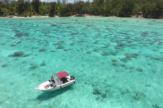 Private Bora Bora Lagoon Experience - Customize Your Experience