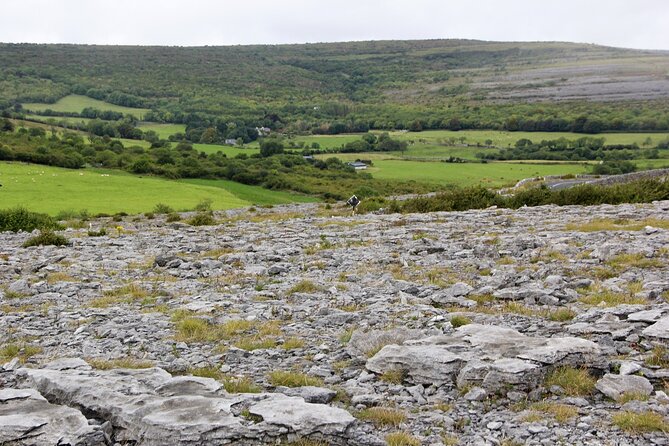 Private Burren and Cliffs of Moher Full Day Tour - Cancellation Policy