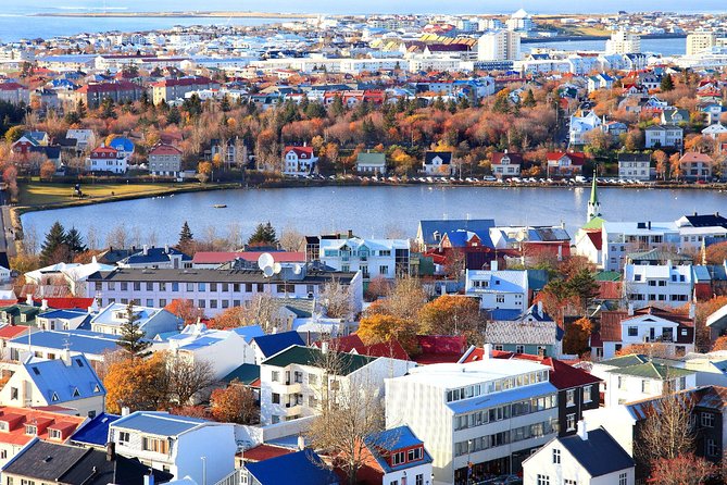Private Business Class Airport Transfer From Keflavik International Airport - Overview of the Transfer Service