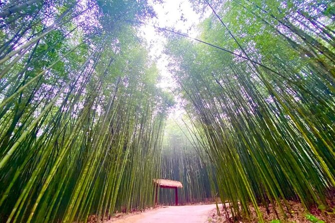 Private Car and Tour Guide Exploring Northern Vietnam - Pricing and Booking Details