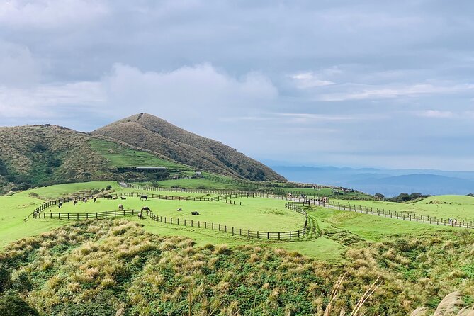 Private Car Charter in Yangmingshan Park(Pro Guide Driver) - Overview and Terms & Conditions