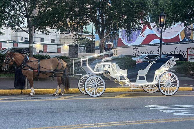 Private Carriage Tour of Galveston - Tour Overview and Details
