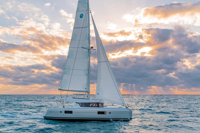 Private Catamaran Cruise: Cozumel Snorkeling, Paddling, More - Overview of the Experience