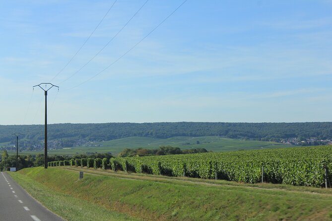 Private Champagne Half Day Tour - 3 Family Vineyard Prestige Tastings Stops - Vineyard Visit and Tasting Stops