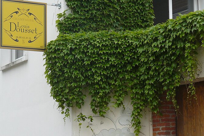 Private Champagne Half Day Tour - 3 Family Vineyard Tastings Stops - Tour Highlights