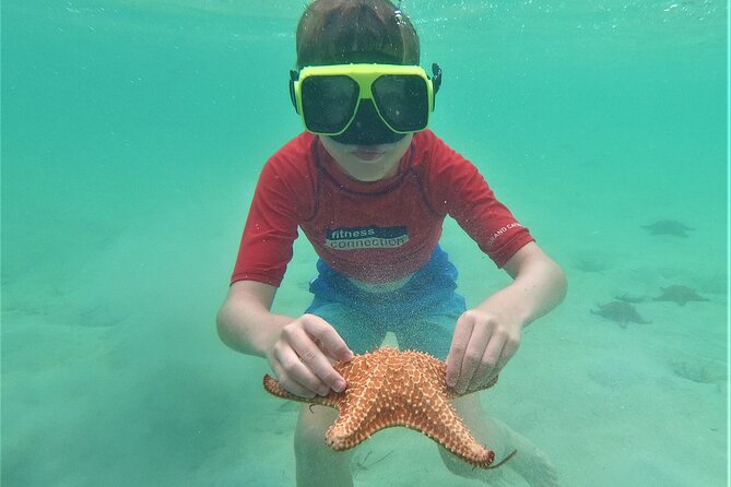Private Charter 28ft Grady White. Stingrays, Snorkeling, Starfish - Snorkeling Adventure in Crystal Clear Waters