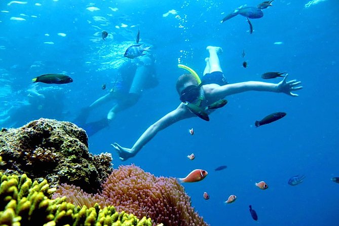 Private Charter Boat to Angthong Marine Park - Overview and Location