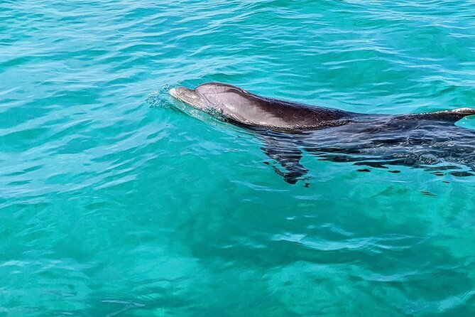 Private Charter Boat With Slide From Panama City - Benefits of Booking a Private Charter Boat