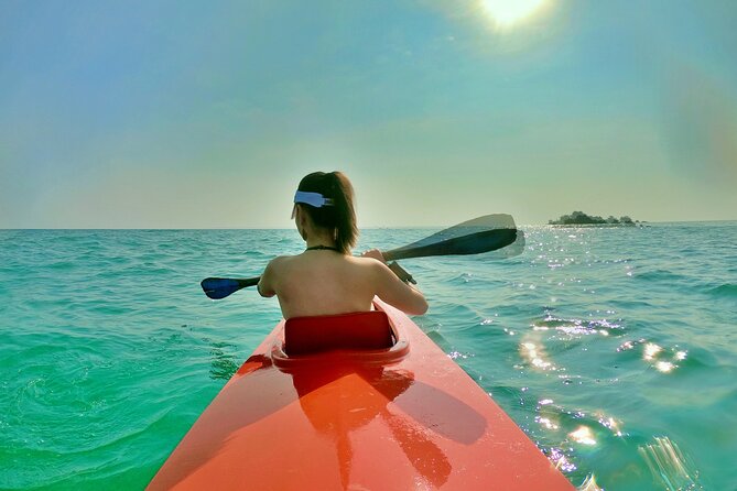 [Private Charter] SEA-KAYAKING Along HALF-MOON BAY & SUNSET DRIFTING & DINNER - Sea-Kayaking Adventure Overview