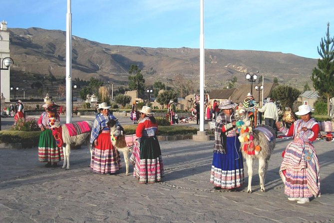 Private Colca Full-Day Tour From Arequipa - Reviews and Ratings