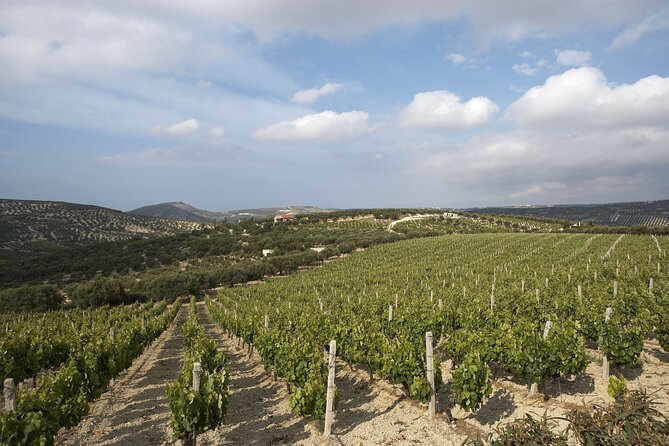 Private Cretan Gastronomic Experience Winery Visit With Tastings & Cooking Class - Cancellation Policy