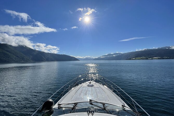 Private Cruise to Sognefjord, Flåm and Nærøyfjord - Private Cruise Details