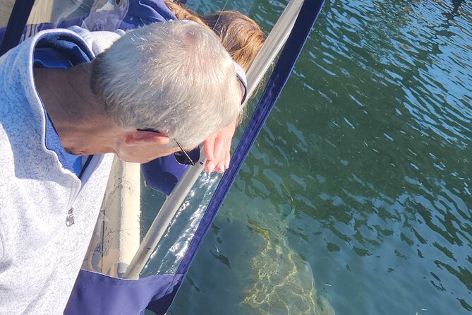 Private Crystal River Wildlife Boat Tour - Whats Included