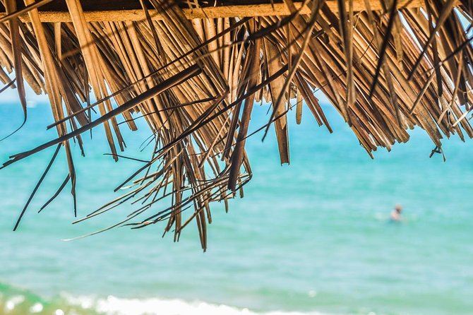 Private Custom Tour of Martinique - Tour Overview and Pickup Information