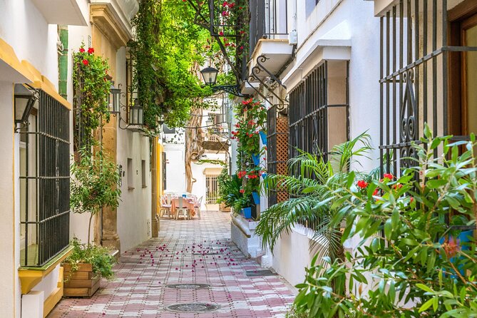 Private Custom Tour With a Local Guide Marbella - Attractions in Marbella