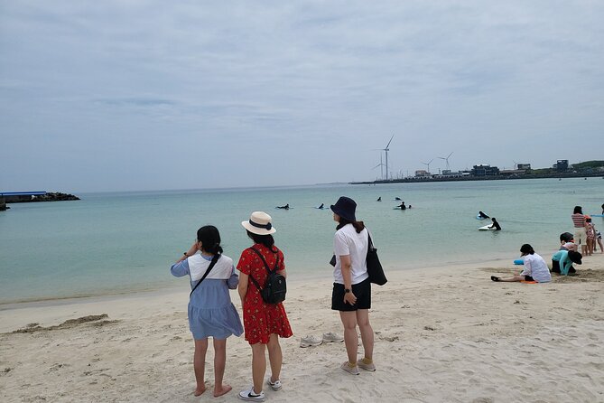 Private Day Tour East & South & West of Place in Jeju Island - Booking and Tour Details