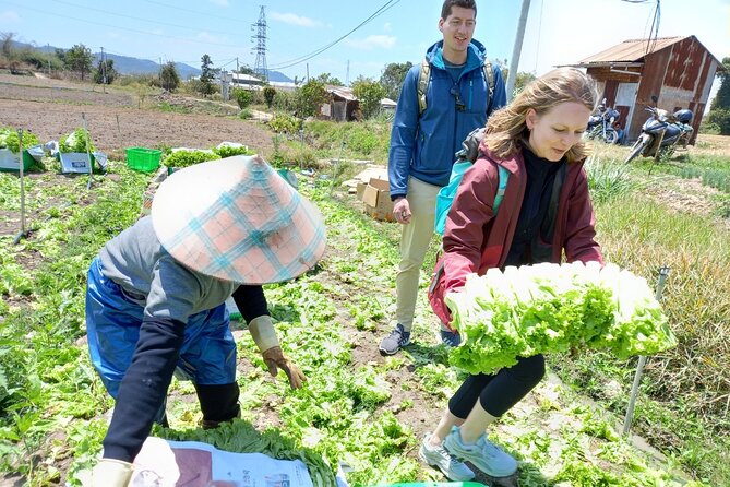 Private Day Tour - Exploring Dalat Countryside & Cooking Lunch - Tour Itinerary