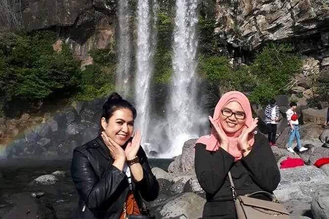 Private Day Tour World Natural Heritage in Jeju Island - Tour Pricing and Booking Details